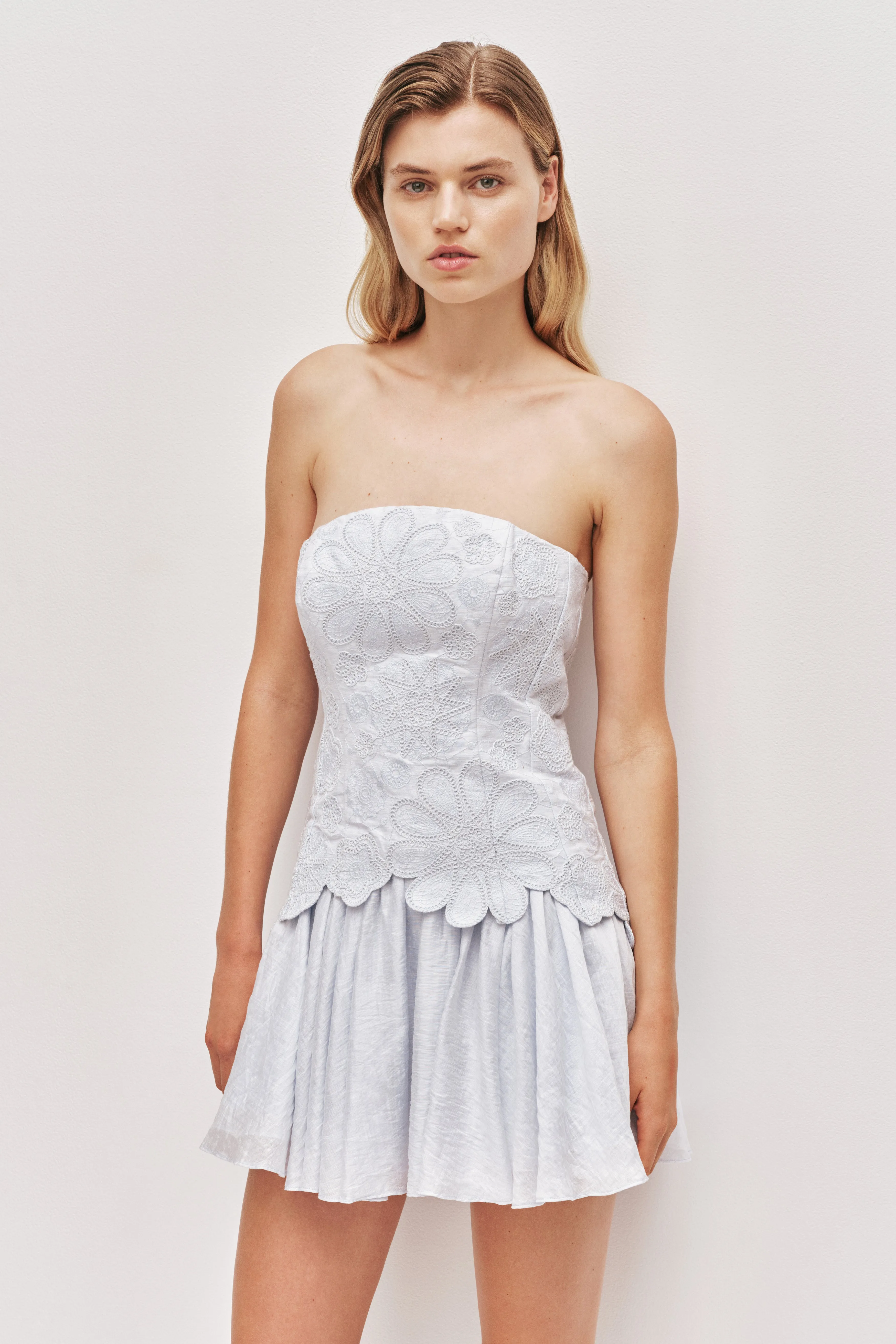 Gia Embroidered Mini Dress sold by Aje product image thumbnail 3