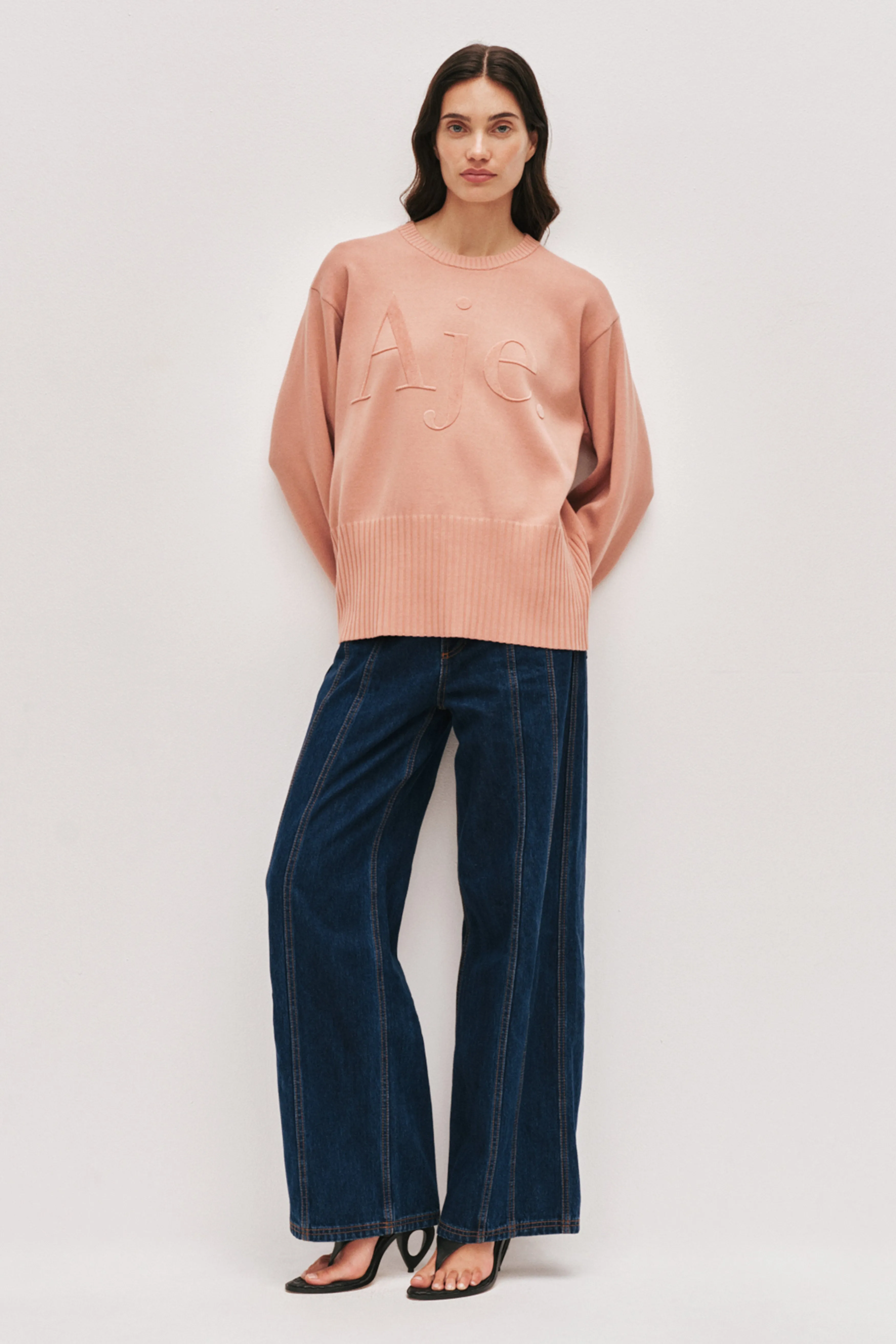 Tylor Logo Jumper sold by Aje