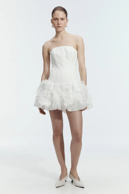 Cloudscape Mini Dress made by Aje