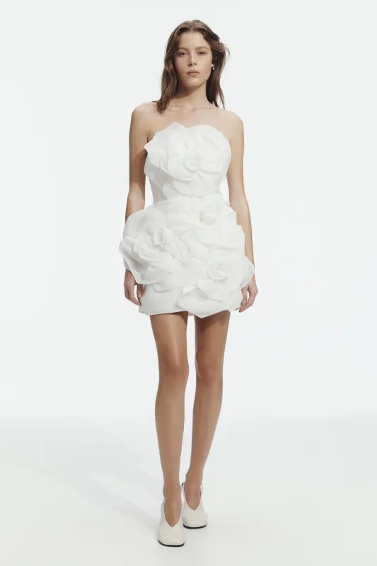 Johanna Mini Dress made by Aje