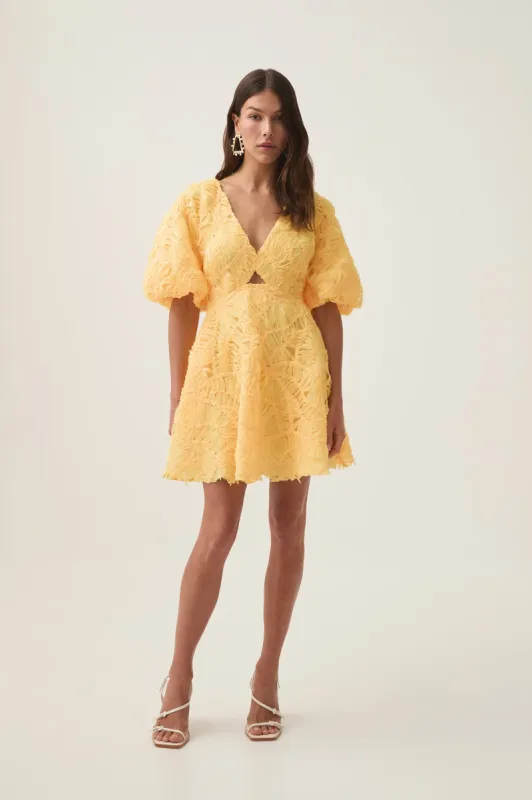 Florential Mini Swing Dress sold by Aje