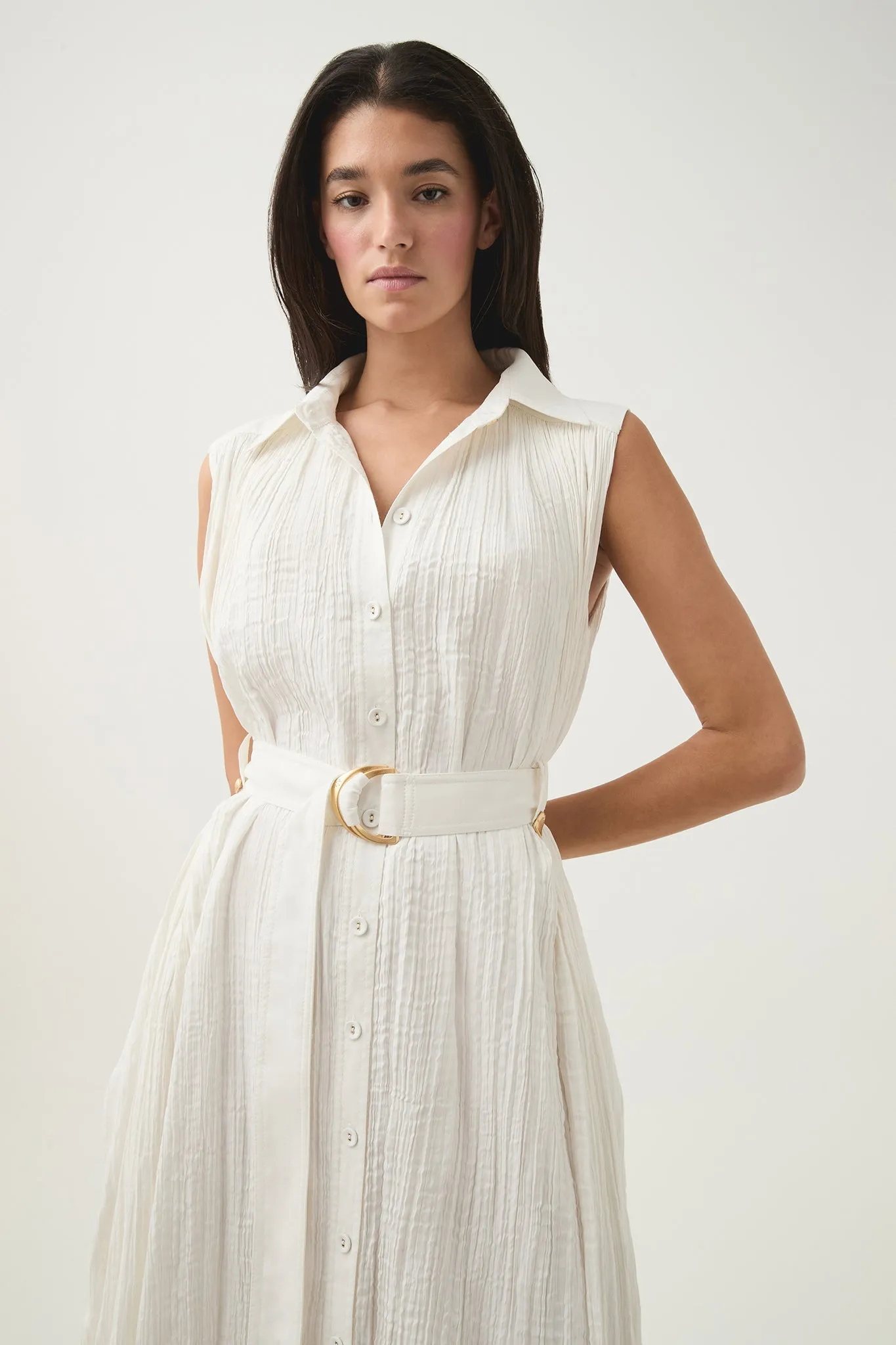 Risen Crushed Pleat Midi Dress sold by Aje product image thumbnail 4
