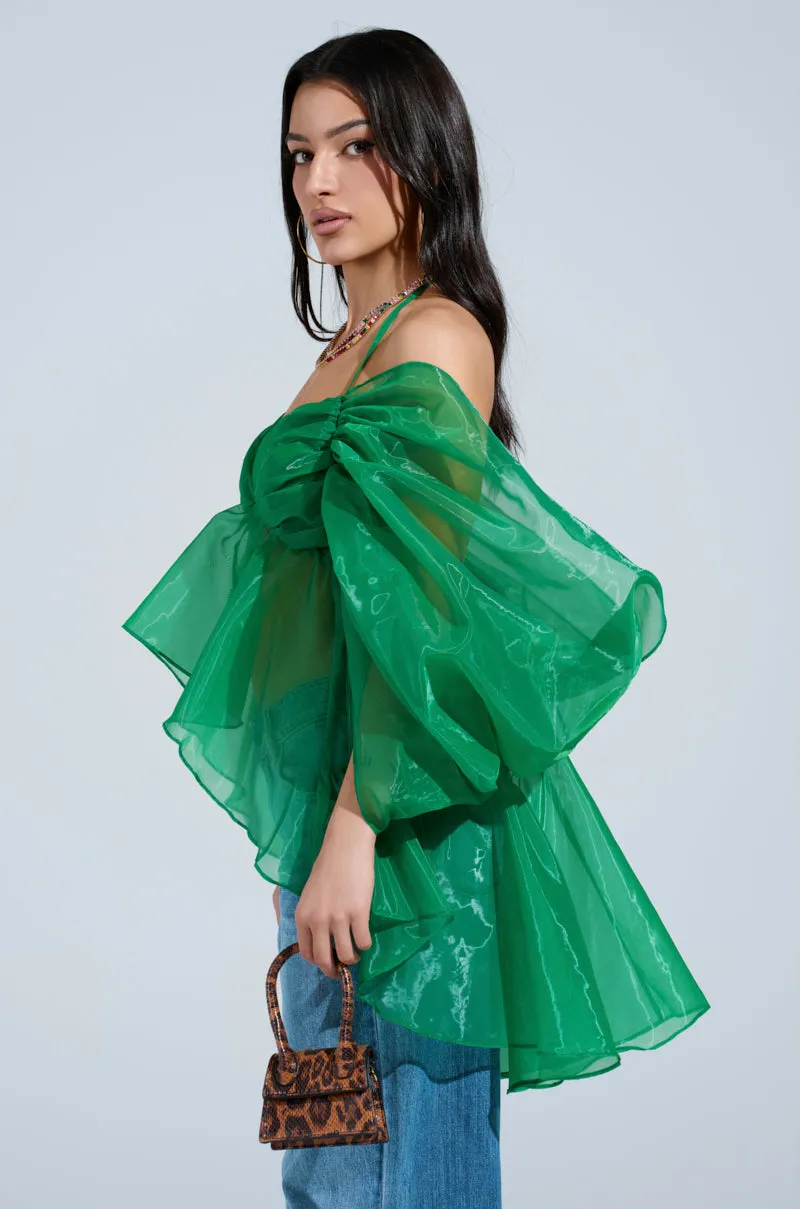AN ELEGANT EVENING ORGANZA BLOUSE sold by AKIRA product image thumbnail 4