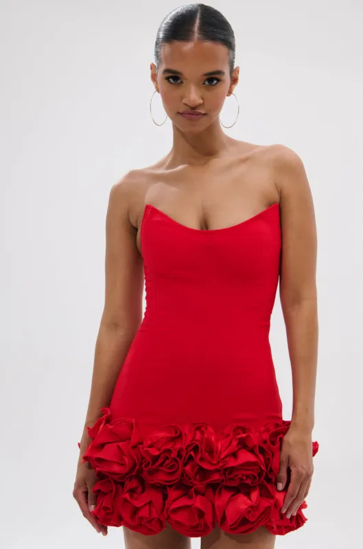 ROSES ARE RED CORSET MINI DRESS made by AKIRA