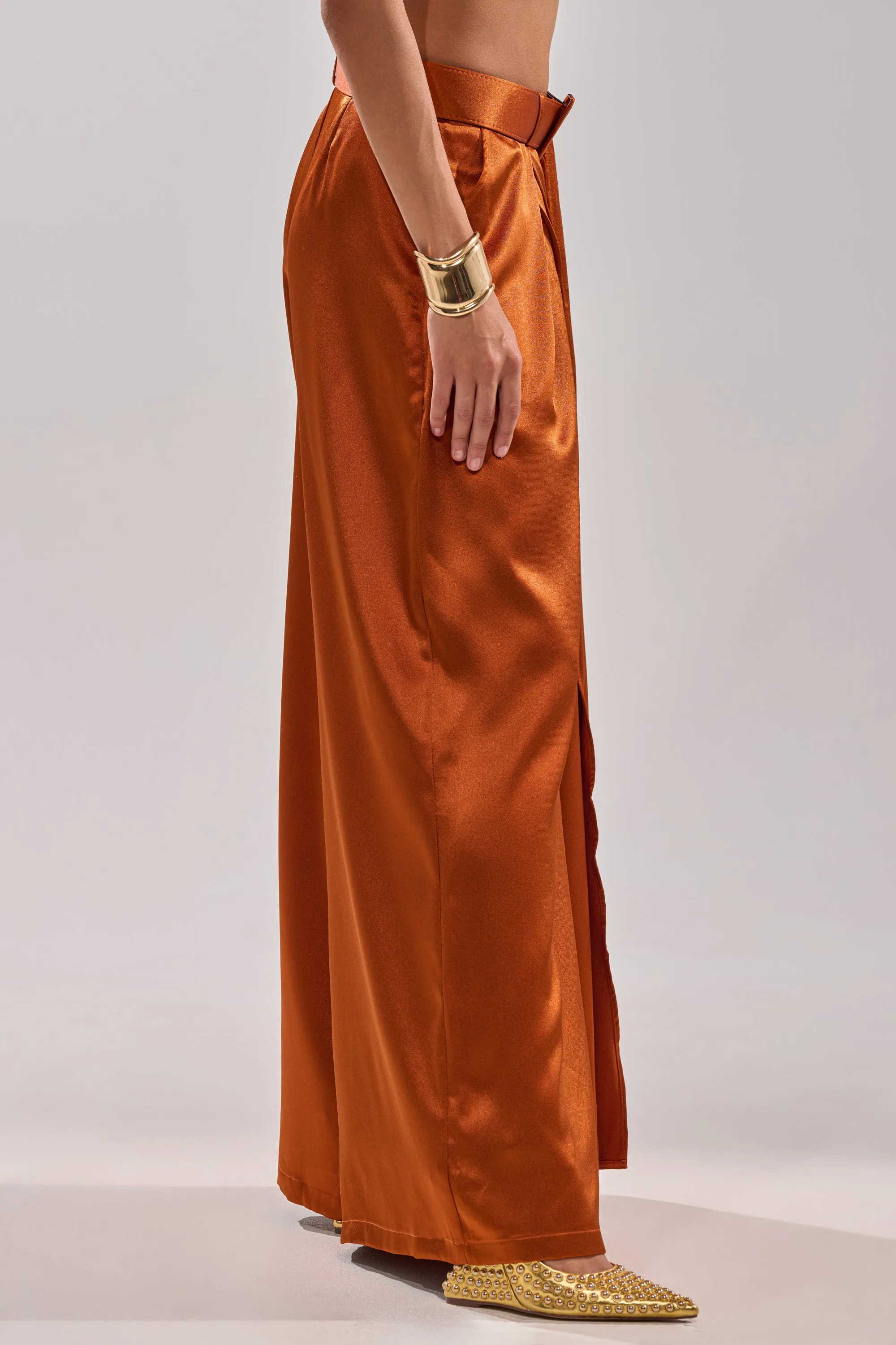 ALL WE EVER KNEW TROUSER sold by AKIRA product image thumbnail 4