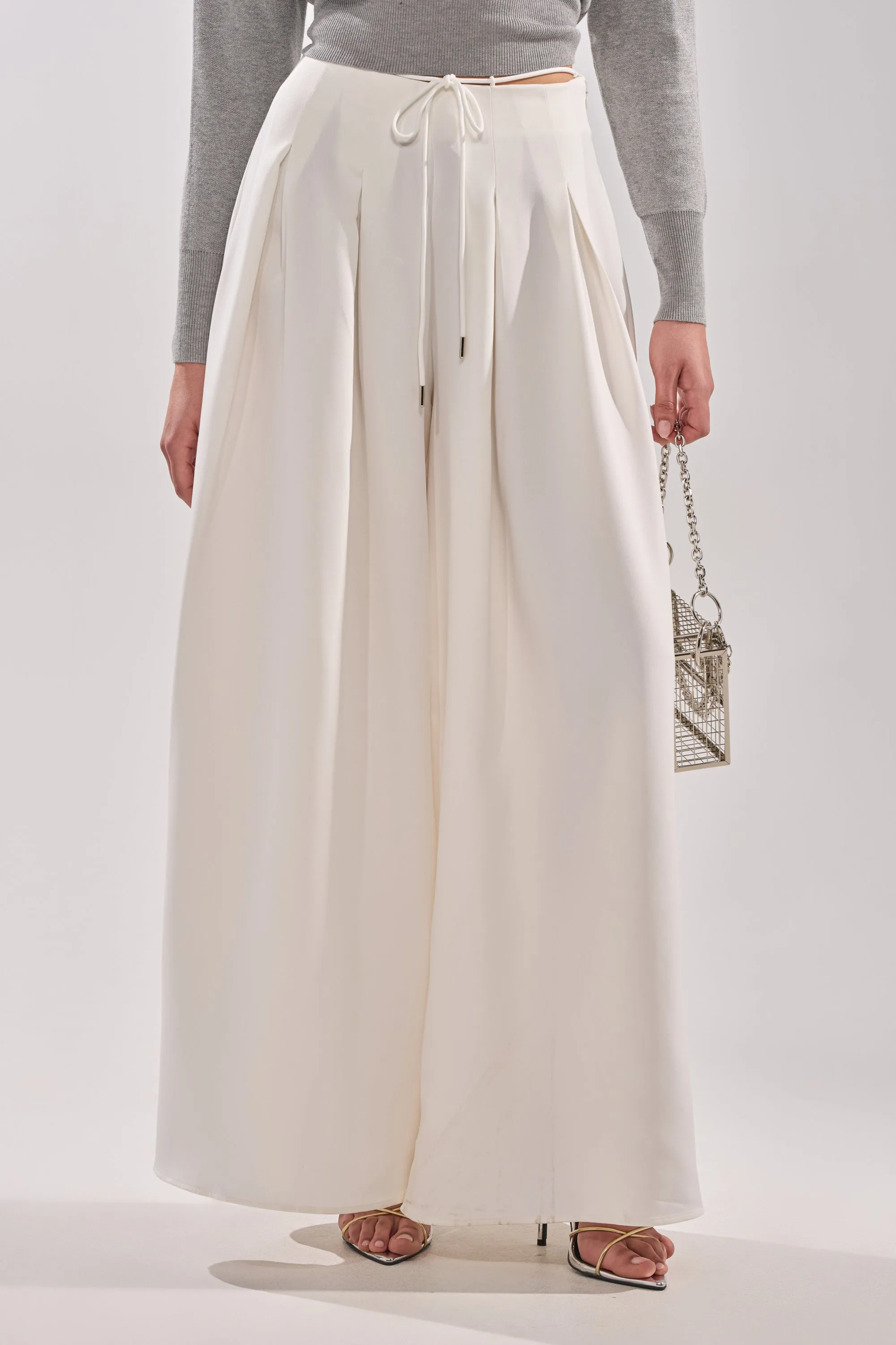 GLORIOUS PLEATED WIDE LEG TROUSER sold by AKIRA