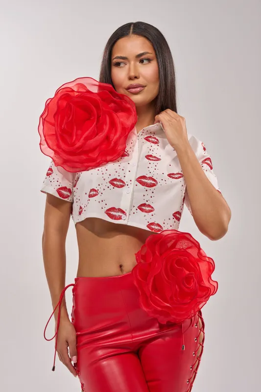 REDDY FOR YOU BROOCH SET made by AKIRA