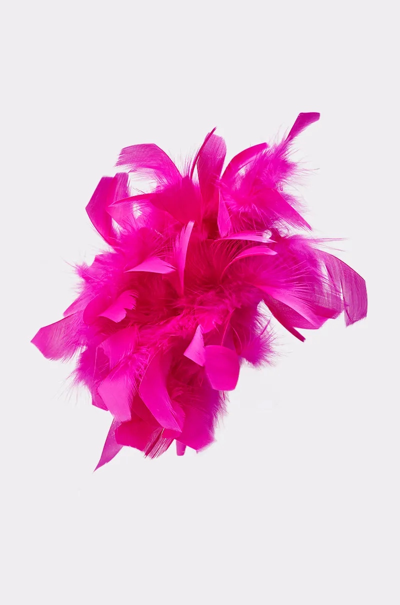 AT BRUNCH FEATHER BROOCH sold by AKIRA product image thumbnail 5
