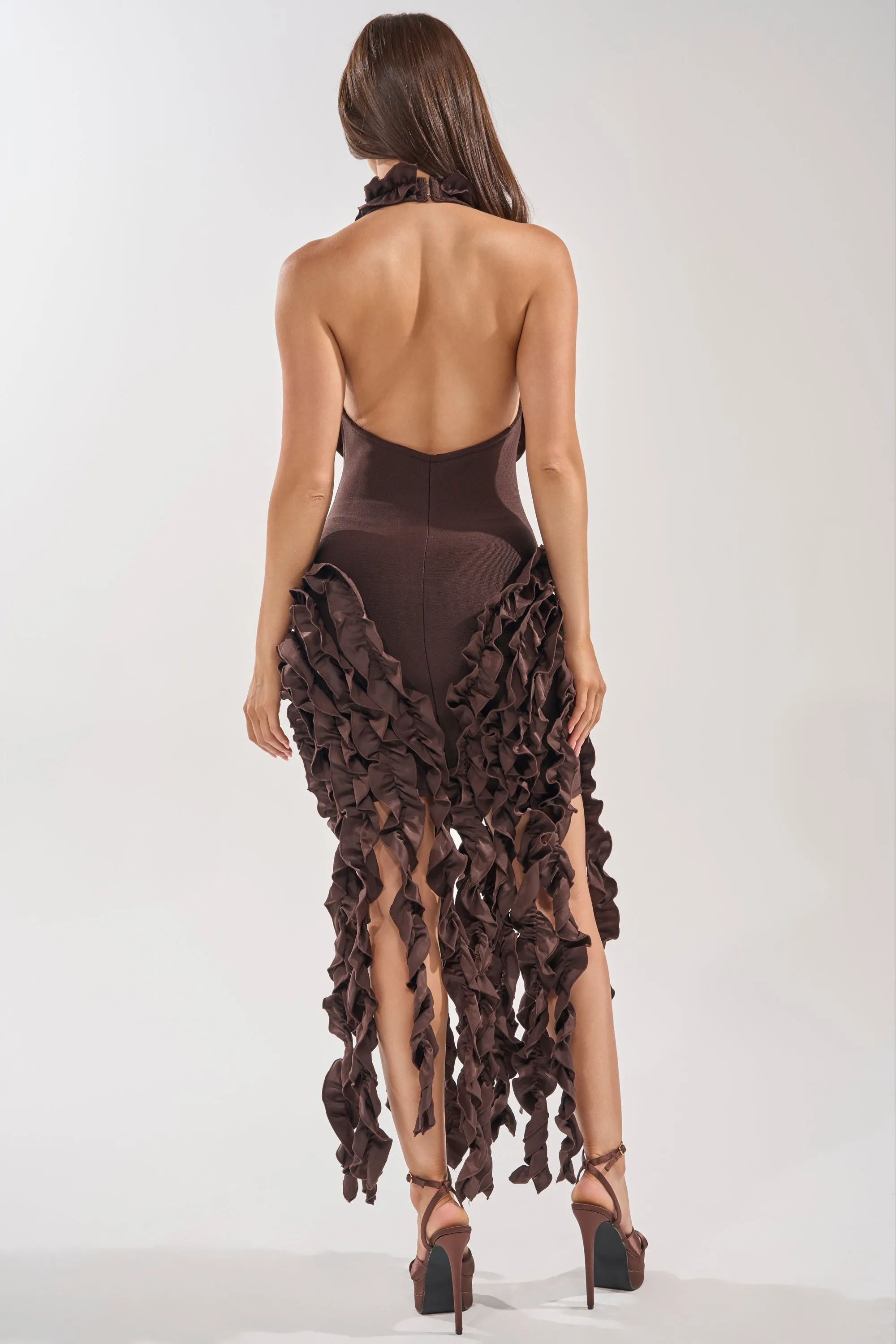 STANDING OVATION FLOCKED MAXI DRESS IN CHOCOLATE sold by AKIRA product image thumbnail 4