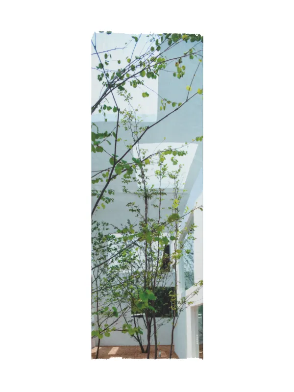 Cashmere Silk Scarf with House N Trees Print sold by Akris