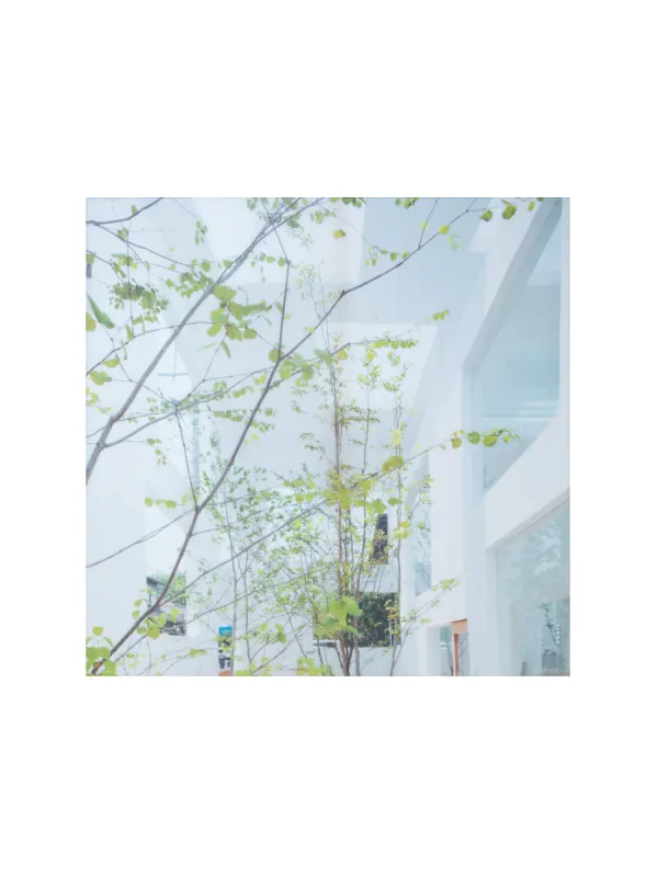 Cotton Silk Scarf with House N Trees Print sold by Akris