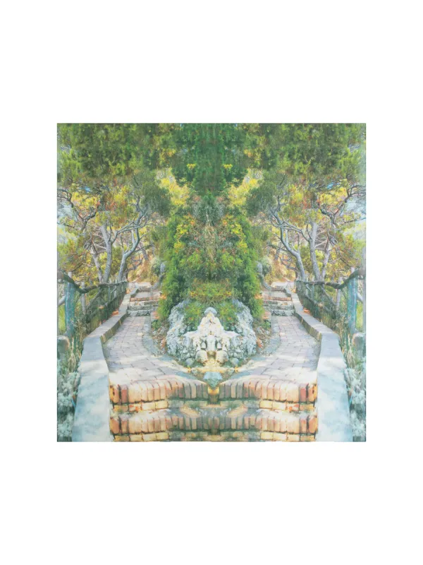 Scarf in Cotton and Silk with Via Krupp Print sold by Akris