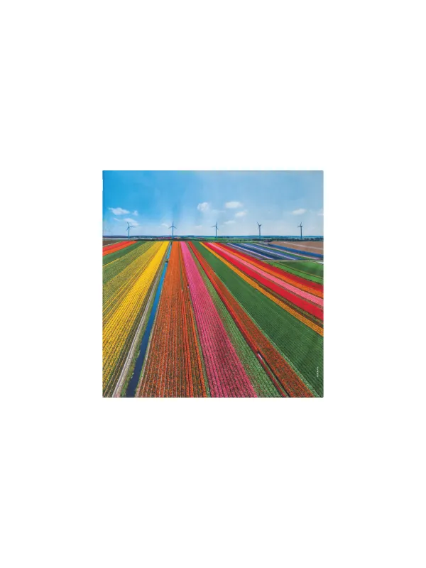Scarf in Silk with Wind Turbine Print made by Akris