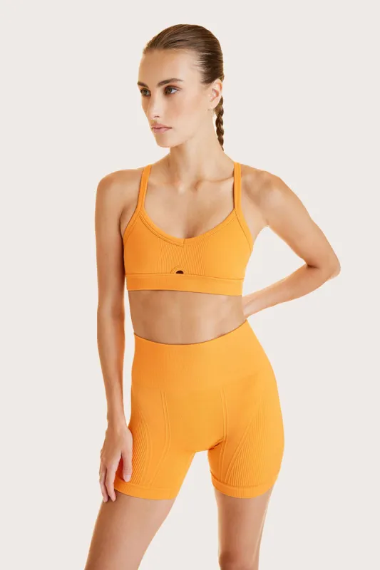 Barre Cami Bra sold by Alala