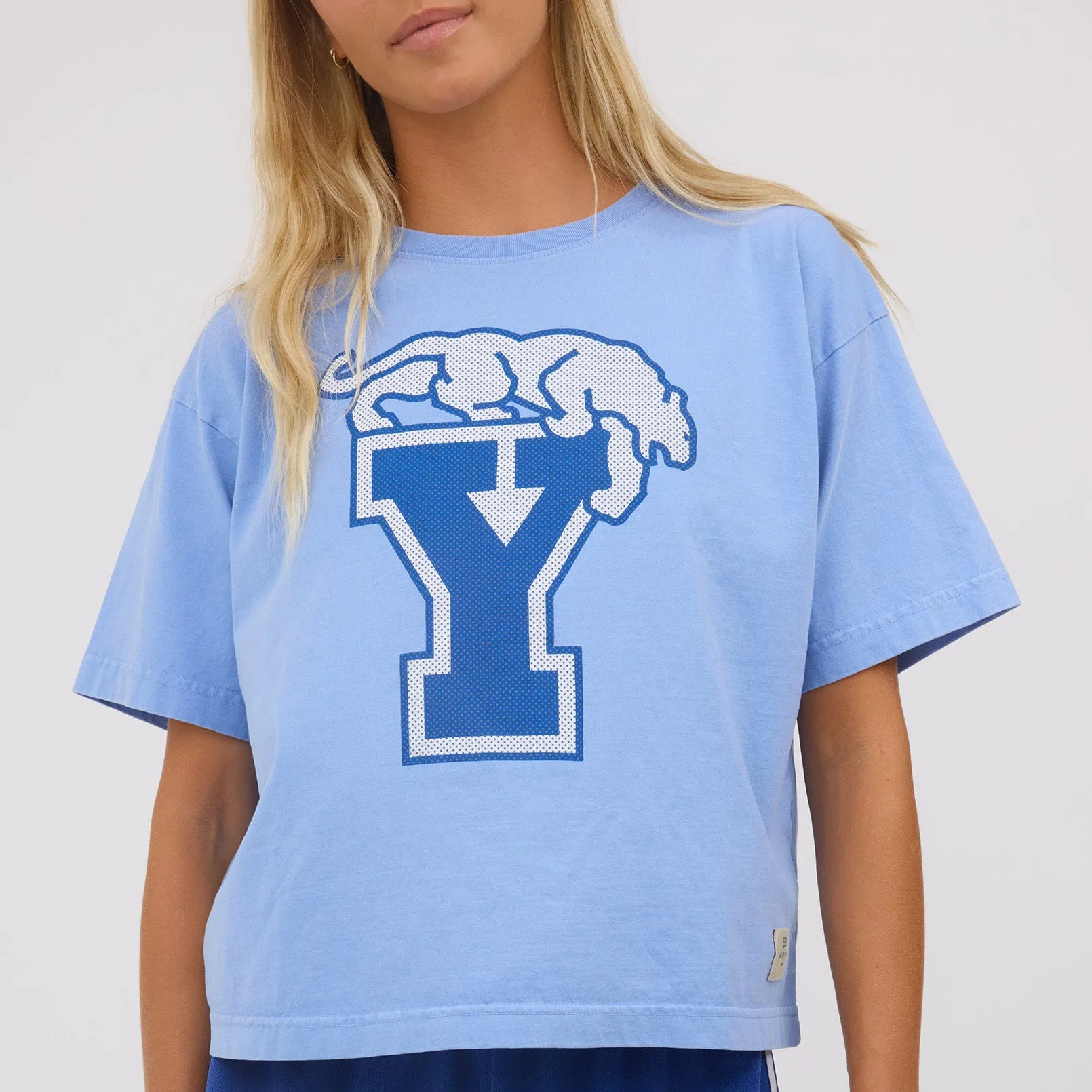 BYU Oversized Tee, Royal - Cougar Y sold by Albion product image thumbnail 4