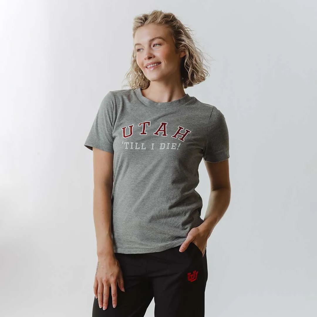 Utah Boyfriend Tee, Grey Till I Die sold by Albion product image thumbnail 5