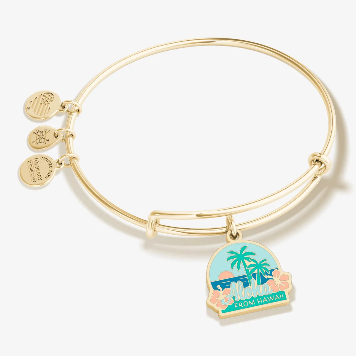 Hawaii Charm Bangle sold by Alex and Ani
