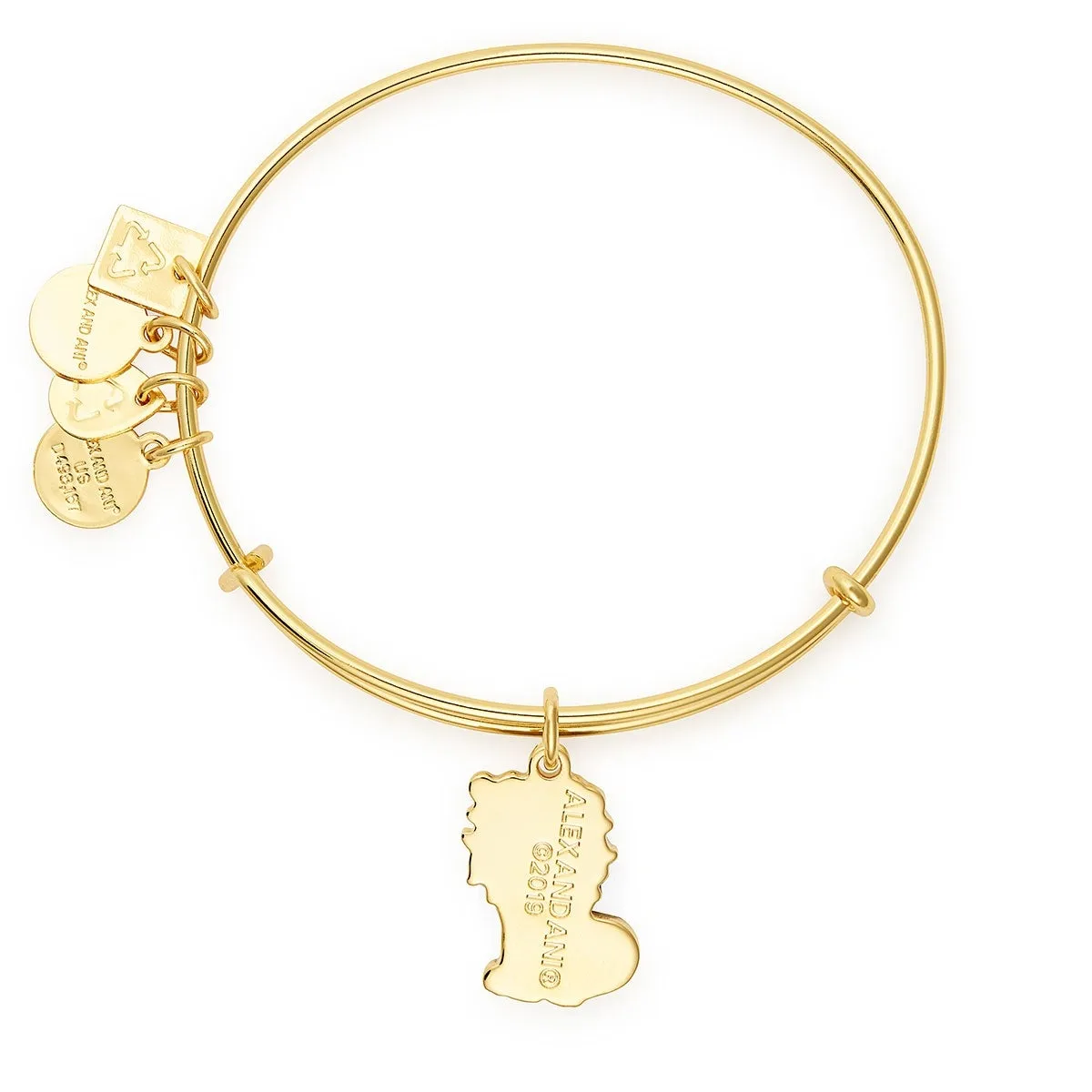 Lion Charm Bangle sold by Alex and Ani product image thumbnail 4