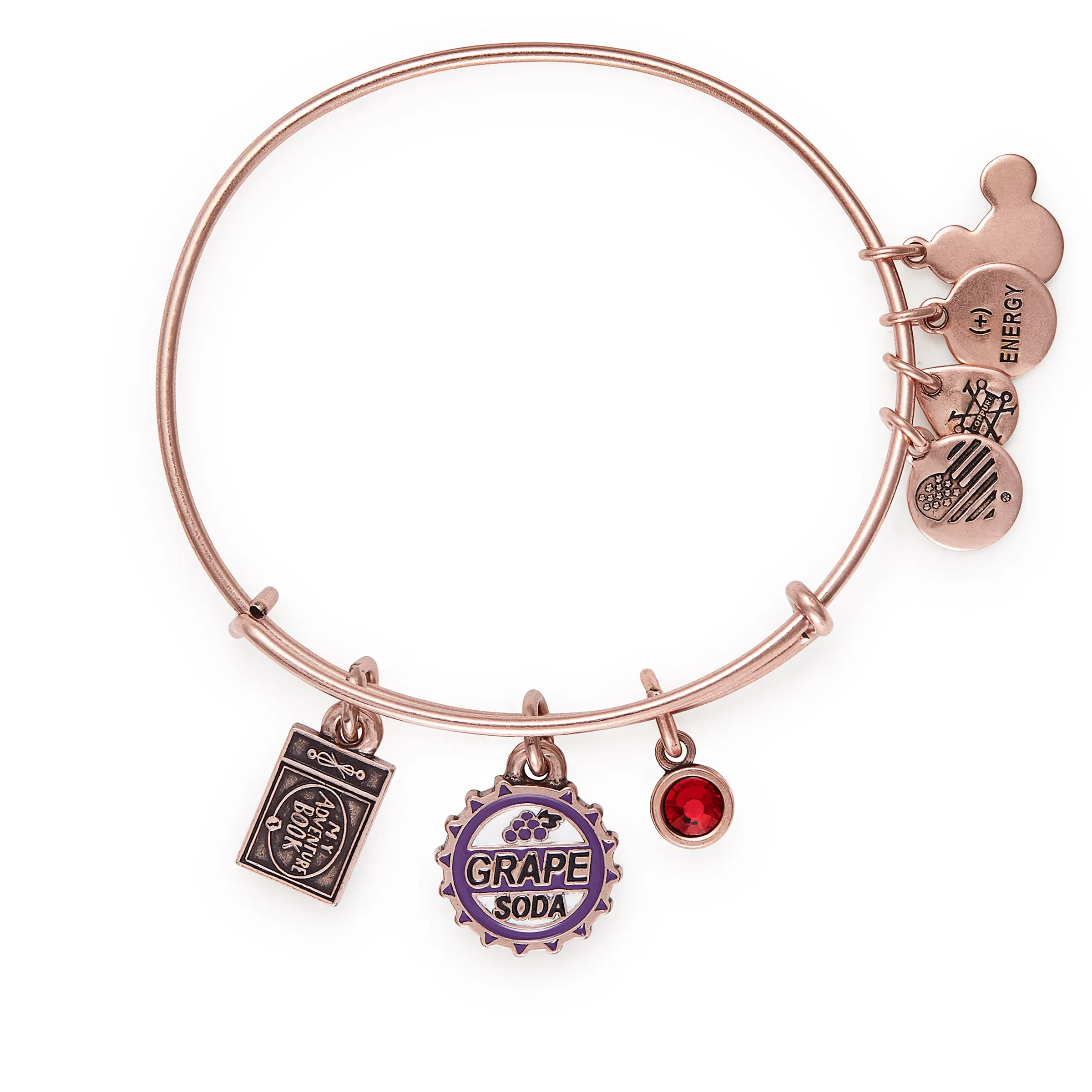 Disney® Up Trio Charm Bangle sold by Alex and Ani product image thumbnail 2