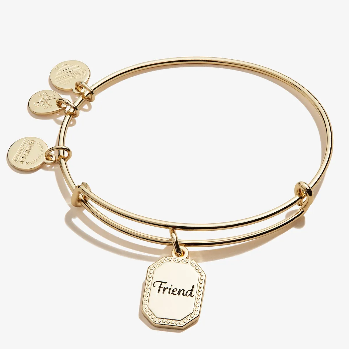 Friend 'United by Soul, Let the Good Times Roll' Charm Bangle sold by Alex and Ani product image thumbnail 4