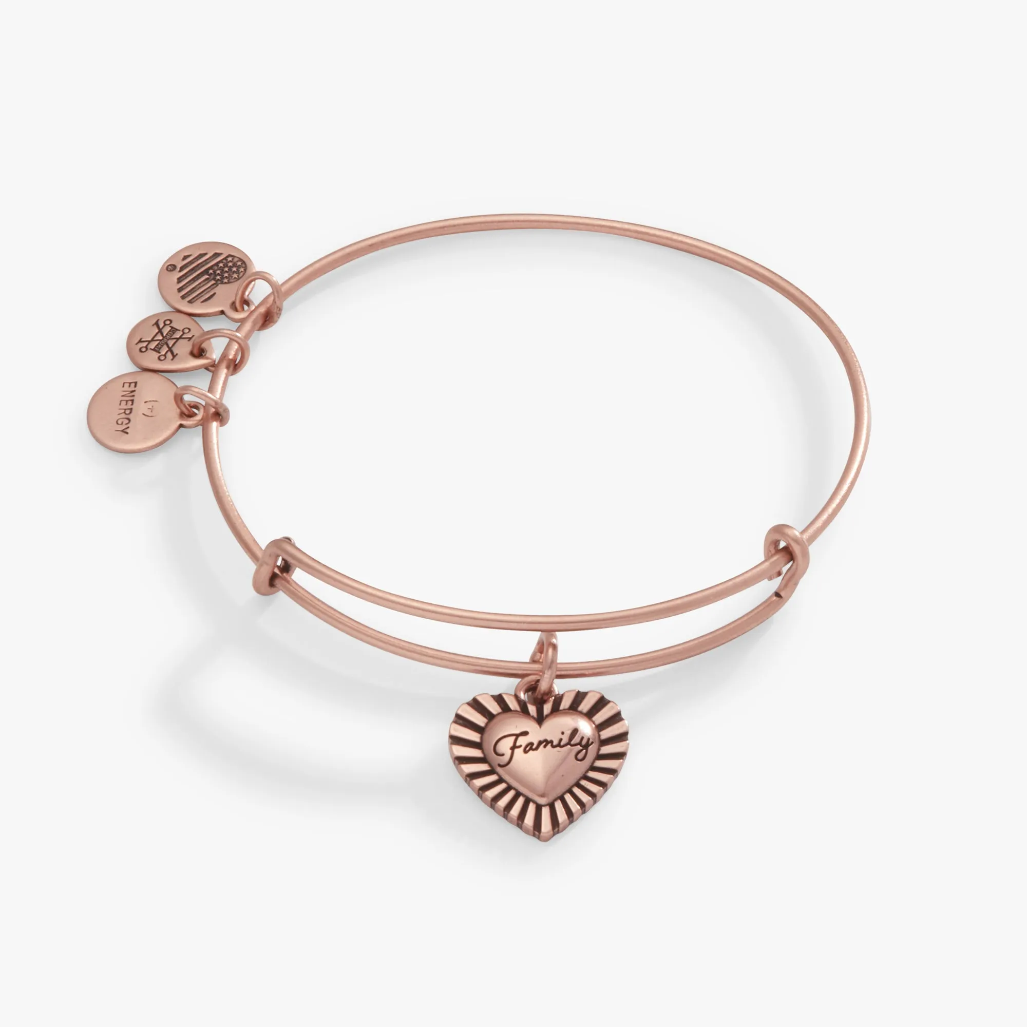 'Family' Heart Charm Bangle Bracelet sold by Alex and Ani product image thumbnail 2