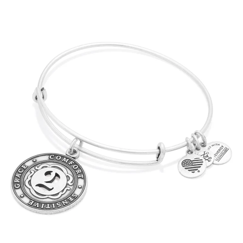 Number 2 Charm Bangle Bracelet | Grace, Comfort, and Sensitive sold by Alex and Ani