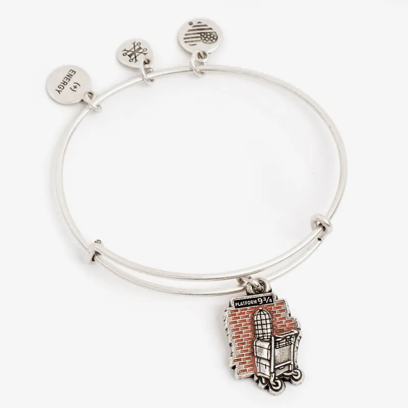 Harry Potter™ Platform 9 3/4 Charm Bangle sold by Alex and Ani