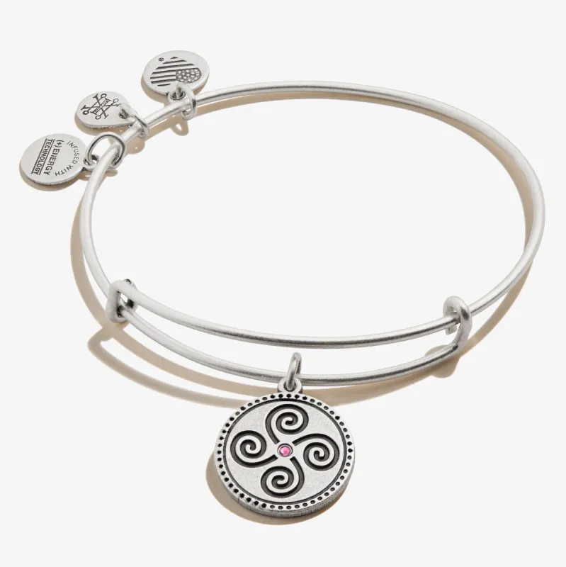 Harmonious Health Charm Bangle sold by Alex and Ani