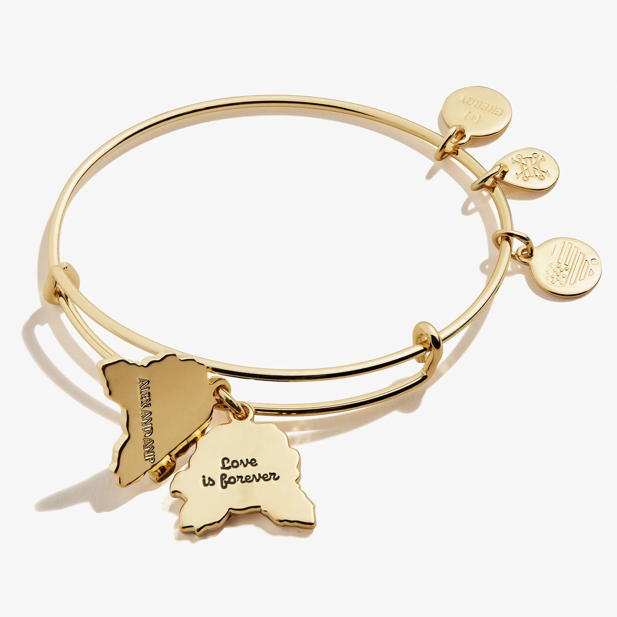 Red Rose Charm Bangle sold by Alex and Ani product image thumbnail 5