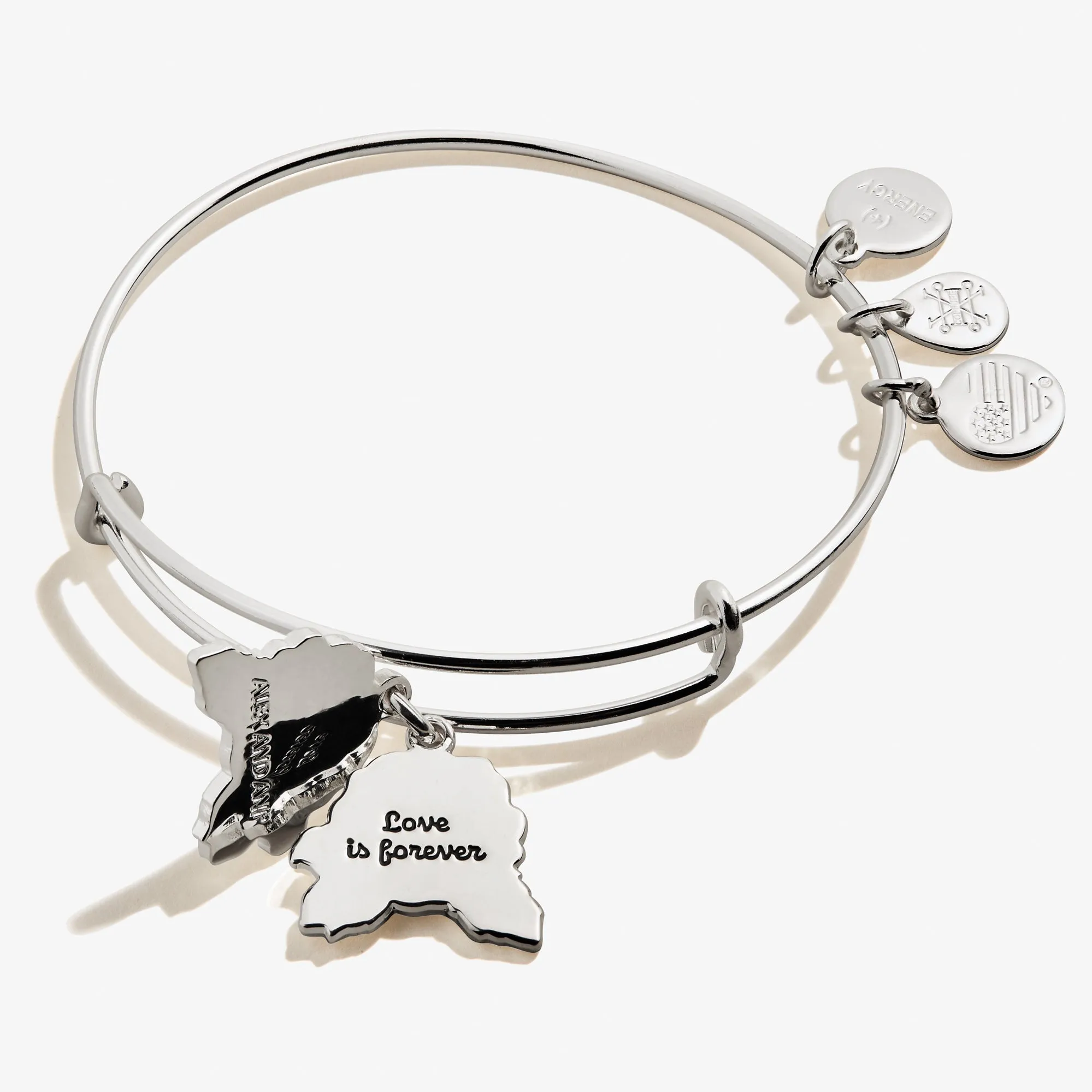 Red Rose Charm Bangle sold by Alex and Ani product image thumbnail 2