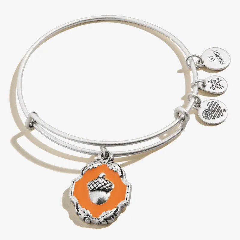 Token of Growth Acorn Charm Bangle sold by Alex and Ani