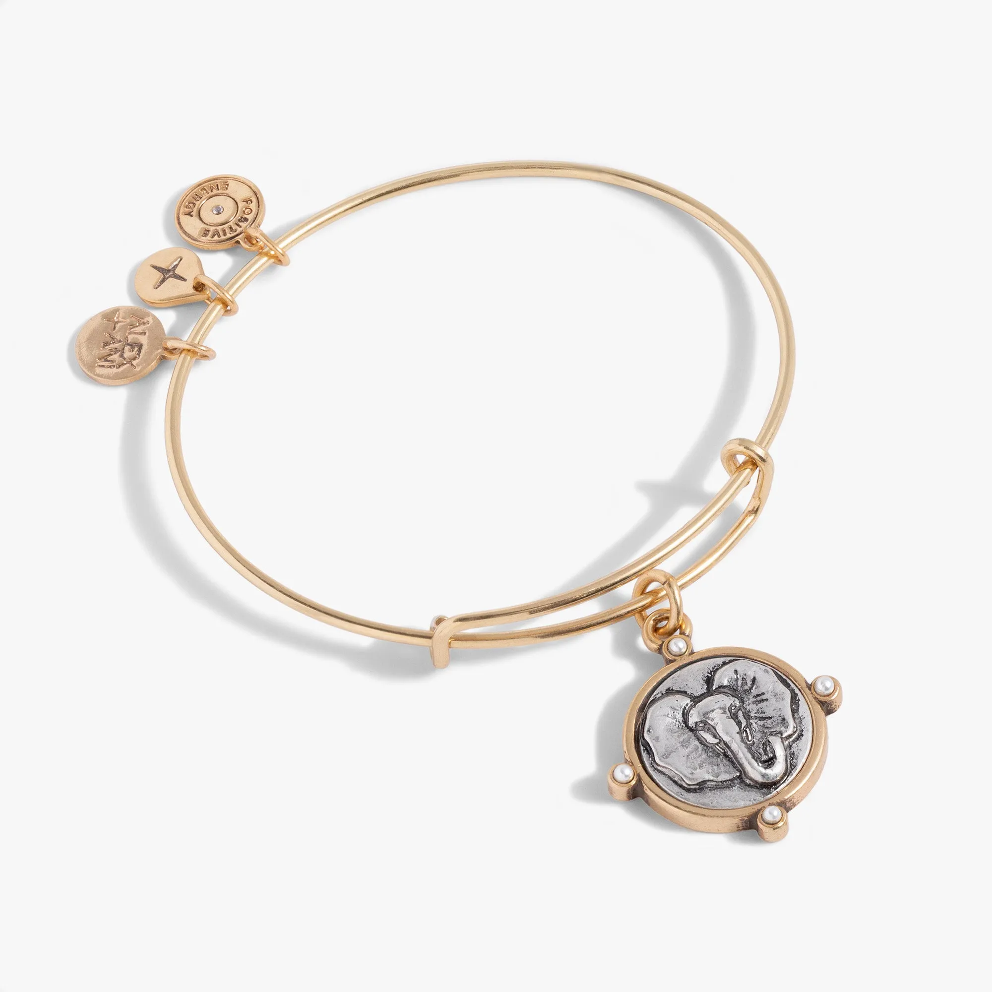 Elephant Charm Bangle sold by Alex and Ani