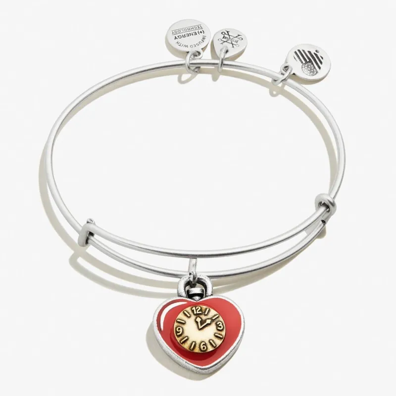 Wizard of Oz Heart Charm Bangle made by Alex and Ani