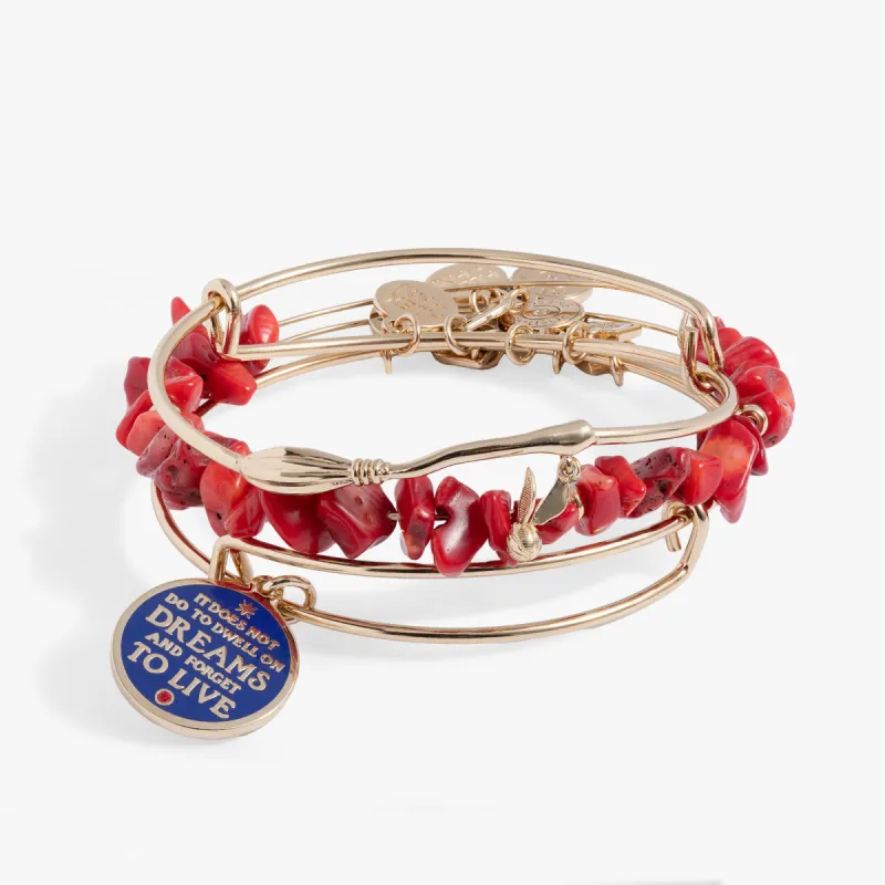 Harry Potter™ Sorcerer’s Stone Bangle Set sold by Alex and Ani