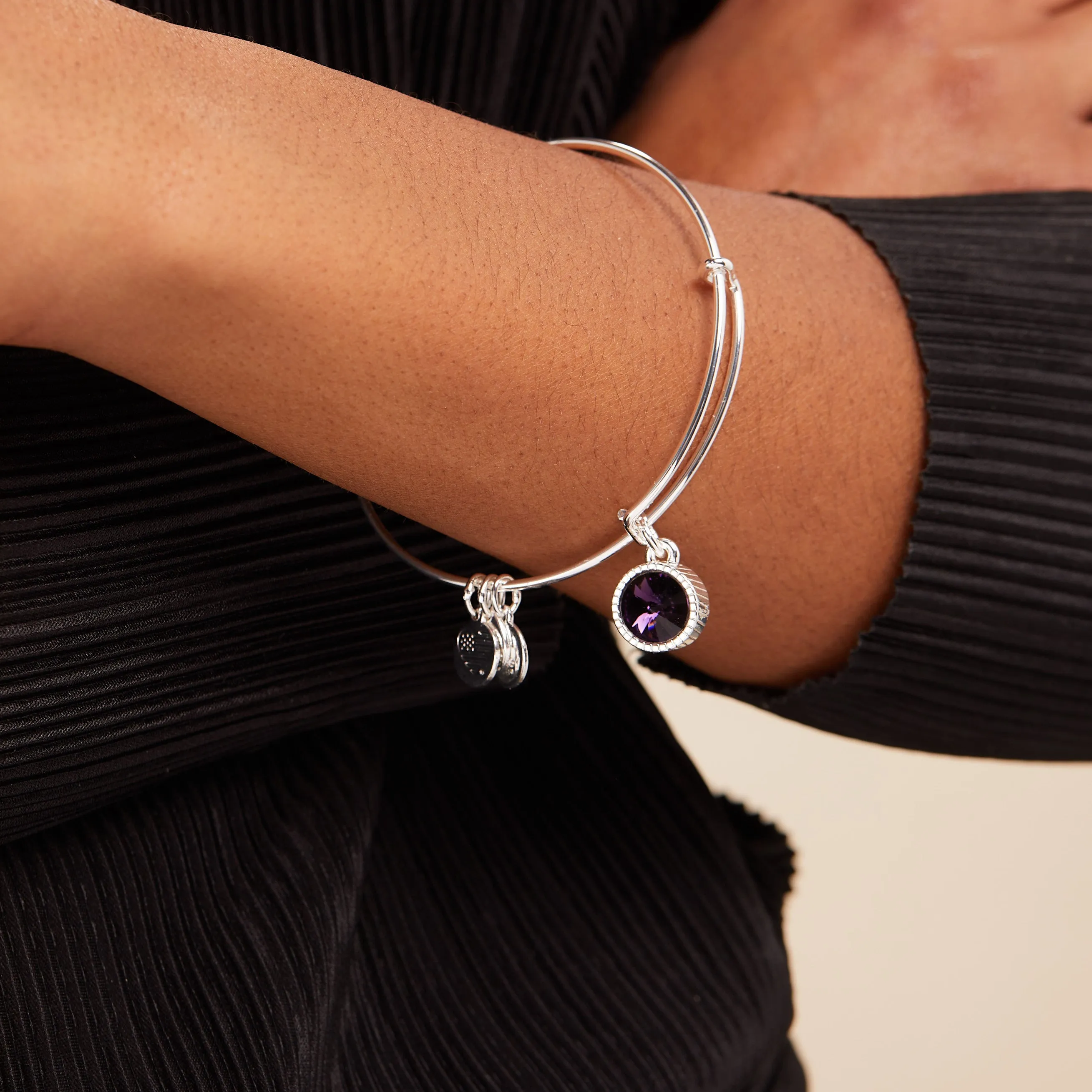 February Birthstone Charm Bangle, Amethyst sold by Alex and Ani product image thumbnail 2