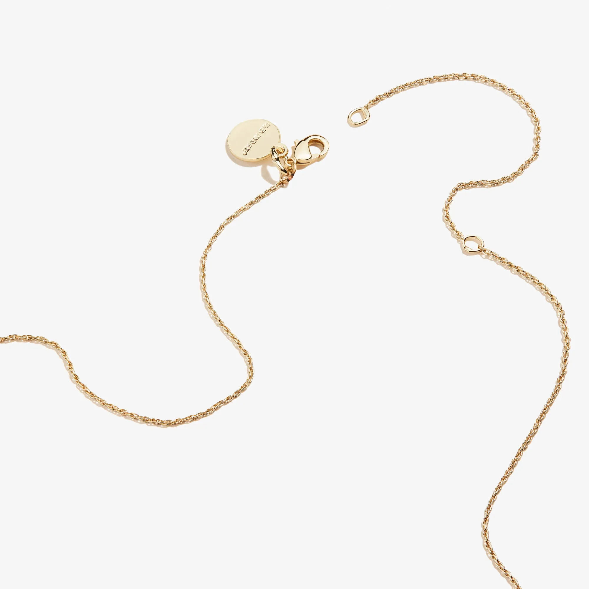 Sunshine Charm Necklace sold by Alex and Ani product image thumbnail 2