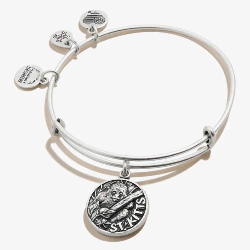 St. Kitts Charm Bangle sold by Alex and Ani
