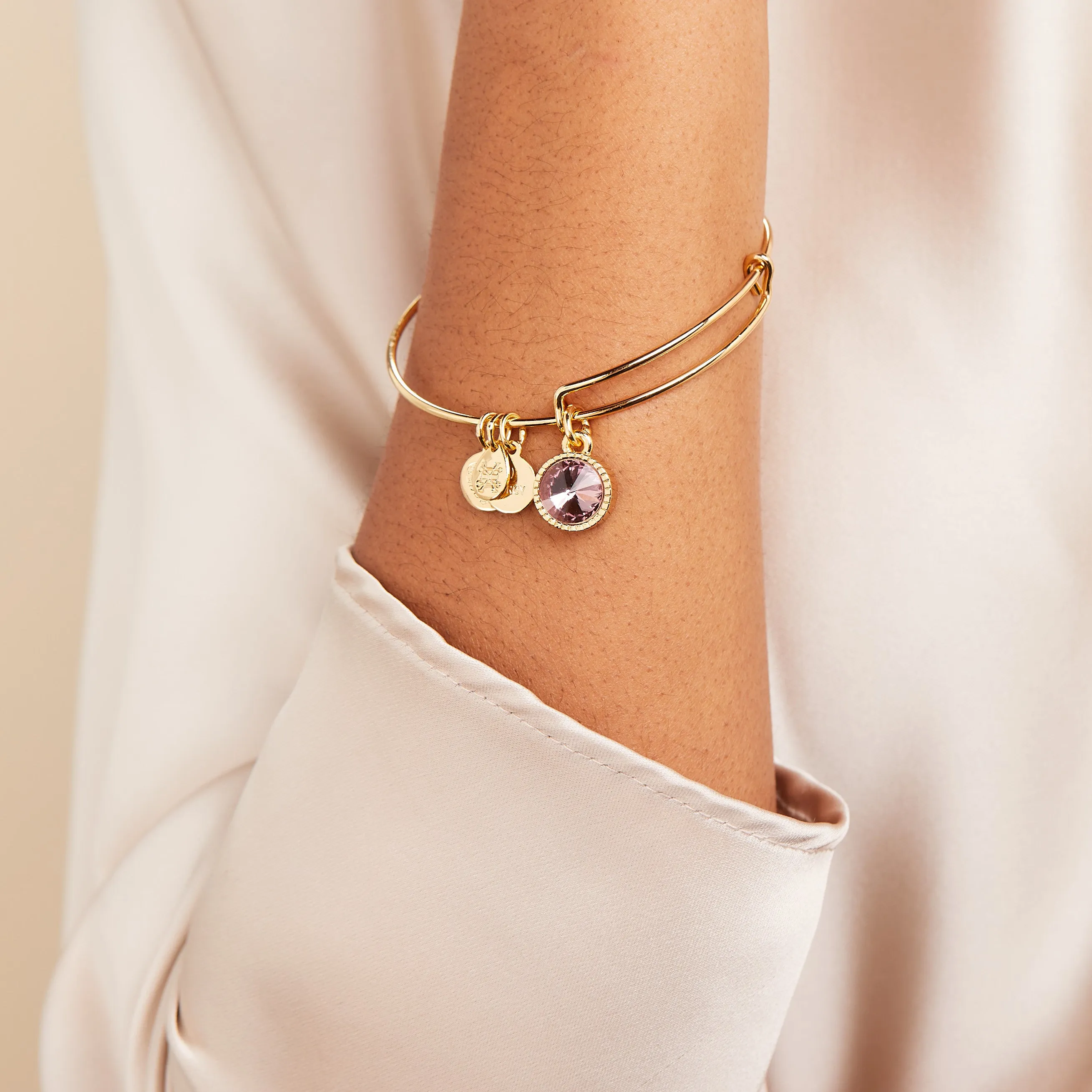June Birthstone Charm Bangle, Light Amethyst sold by Alex and Ani product image thumbnail 5