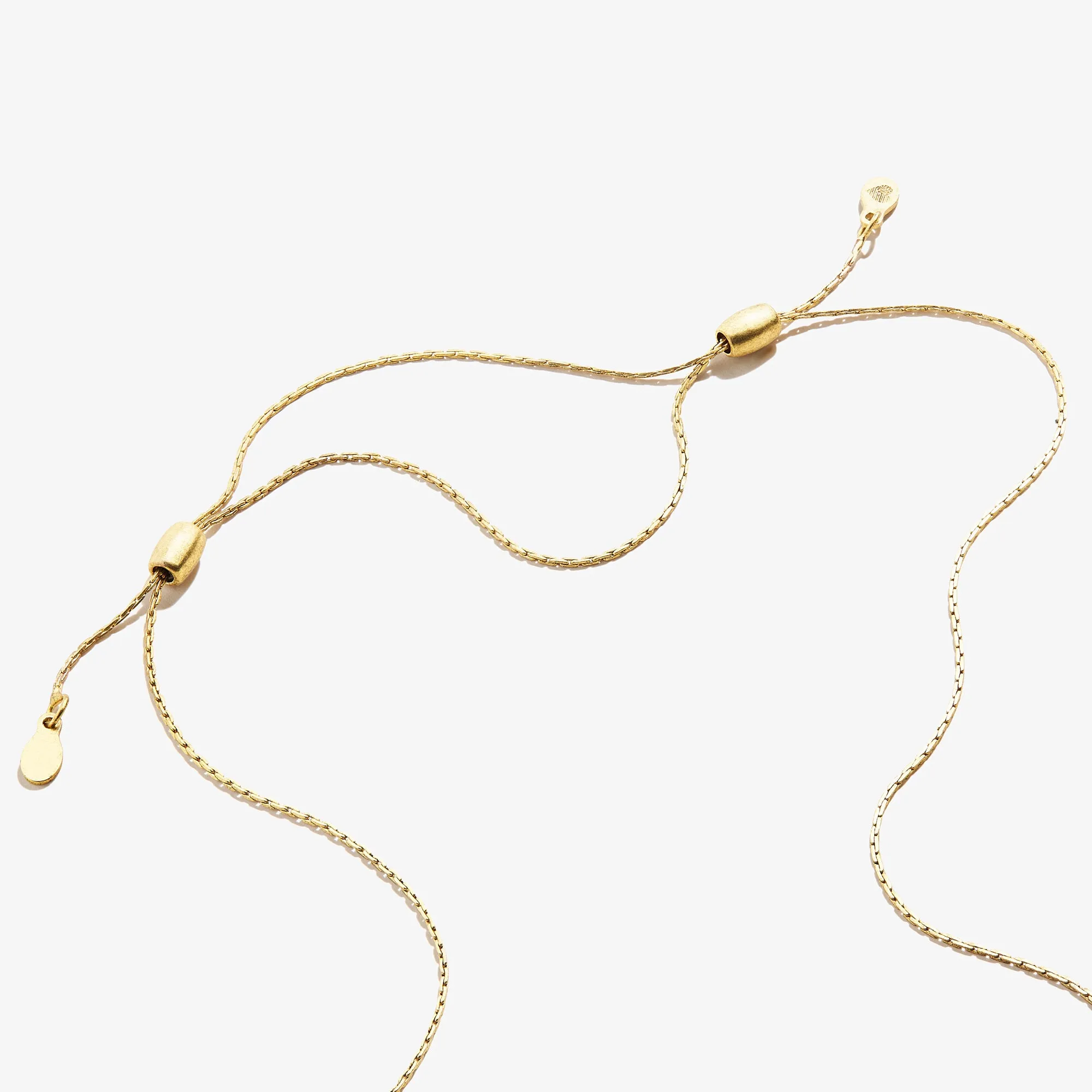 Daisy + Hope Mantra Duo Charm Necklace sold by Alex and Ani product image thumbnail 3