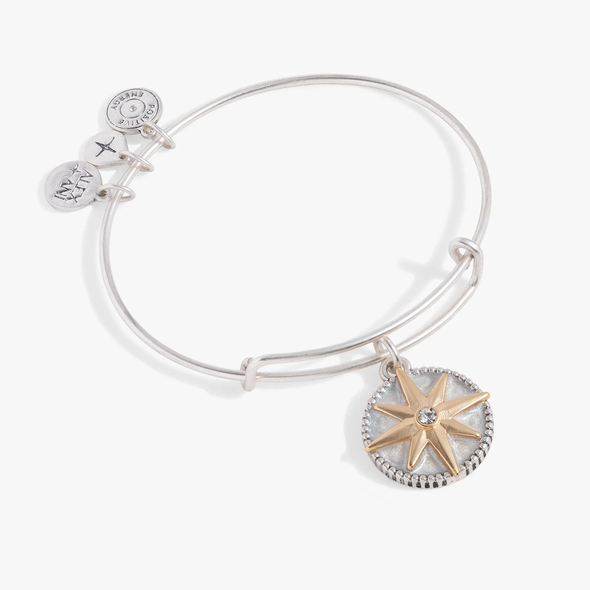 Compass Charm Bangle sold by Alex and Ani
