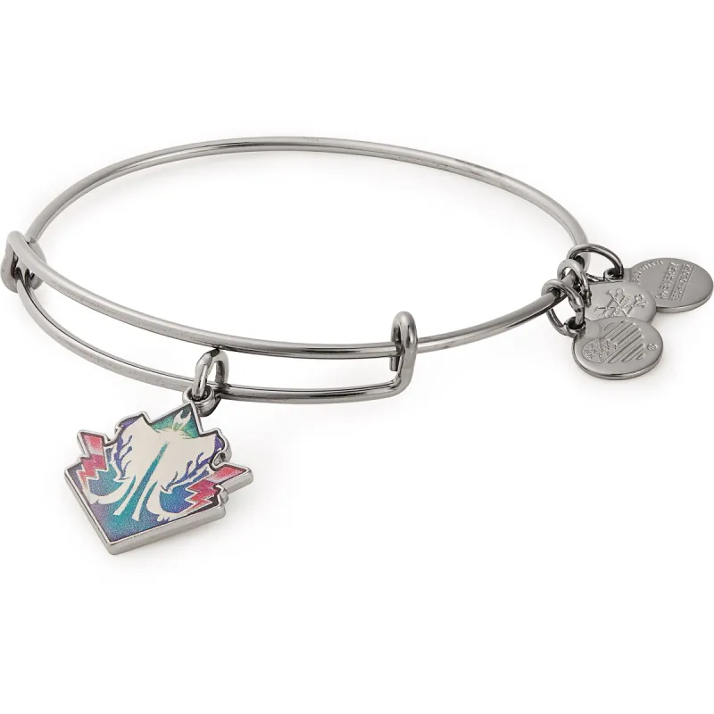 Disney® Maleficent Charm Bangle sold by Alex and Ani