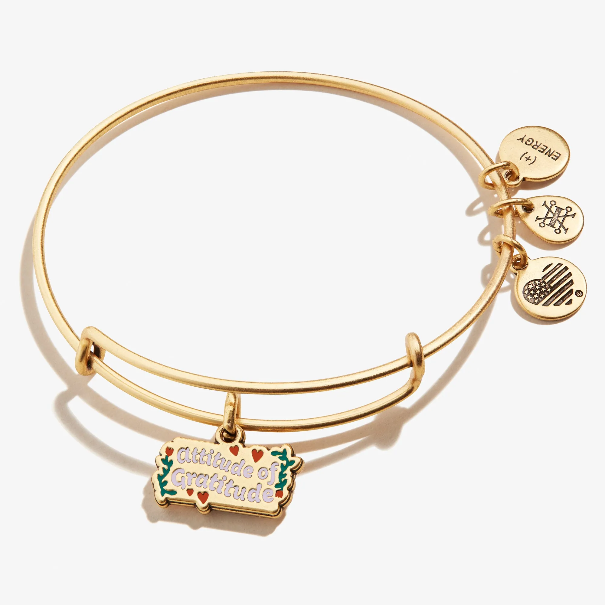 'Attitude of Gratitude' Charm Bangle sold by Alex and Ani