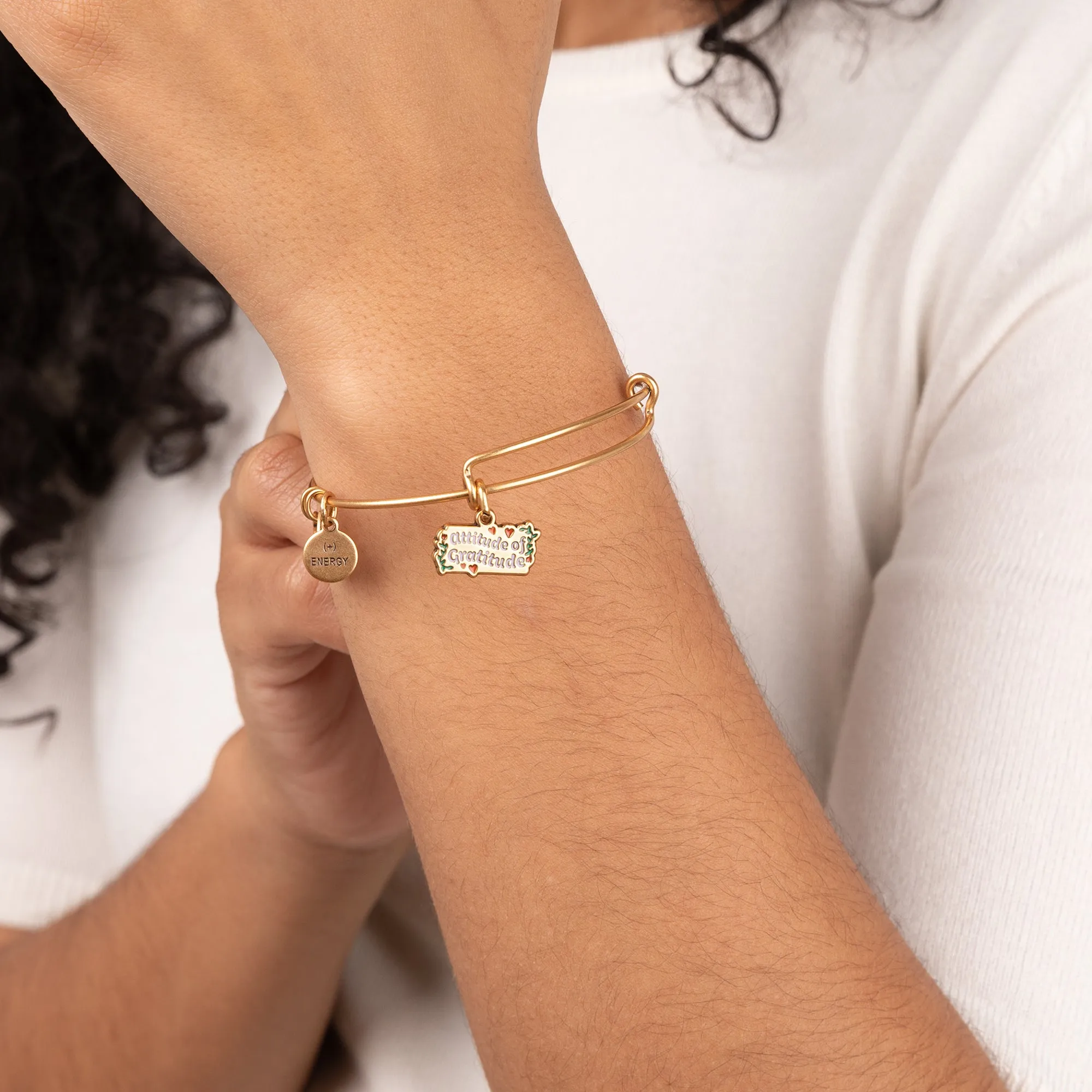 'Attitude of Gratitude' Charm Bangle sold by Alex and Ani product image thumbnail 2