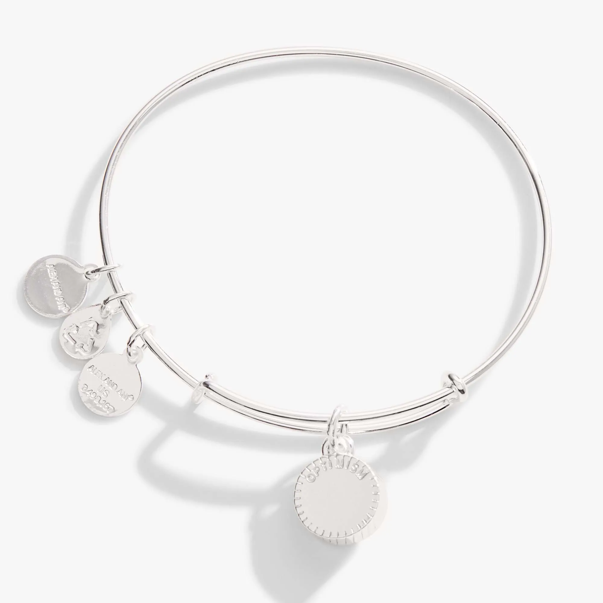 December Birthstone Charm Bangle, Blue Zircon sold by Alex and Ani product image thumbnail 3