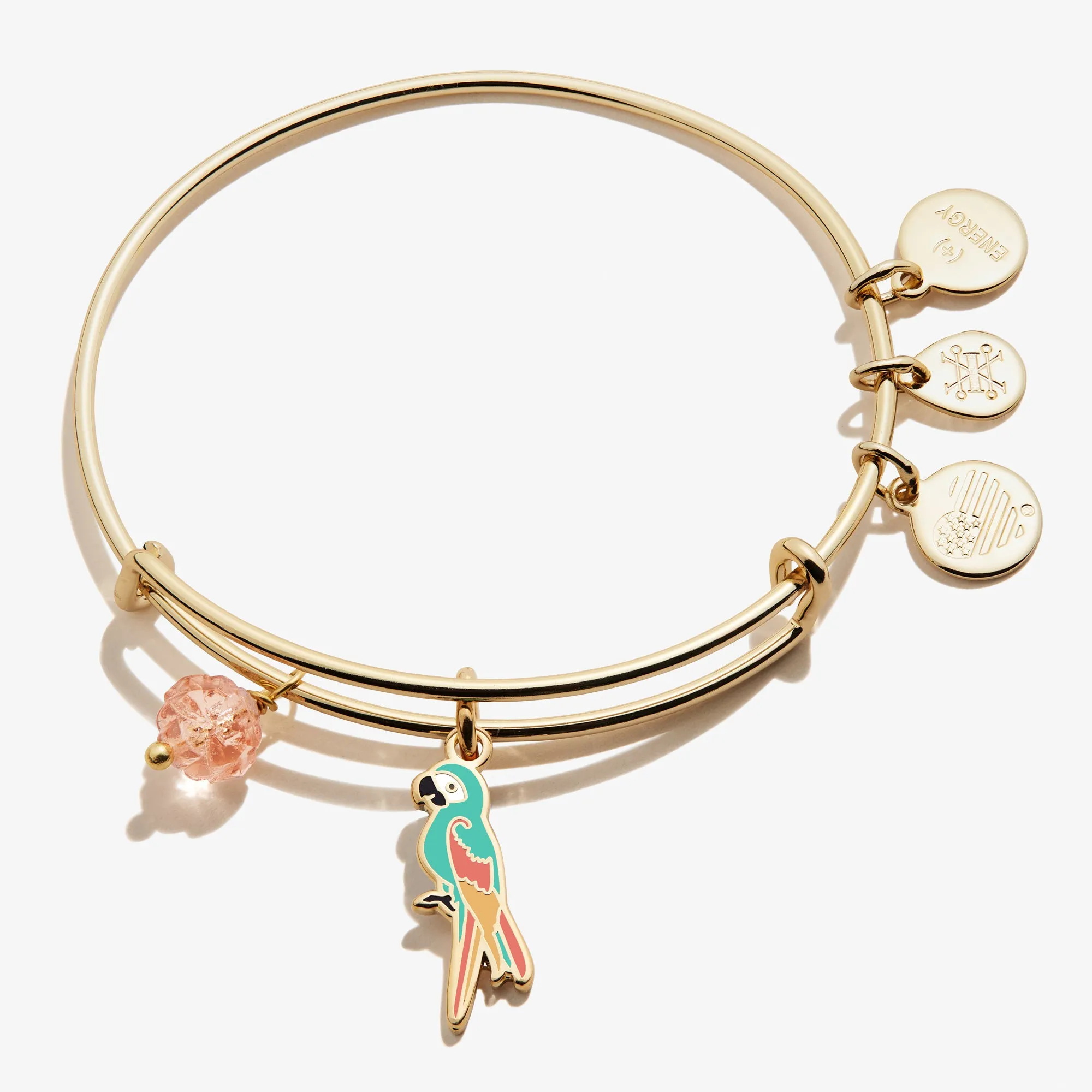 Tropical Parrot Duo Charm Bangle sold by Alex and Ani
