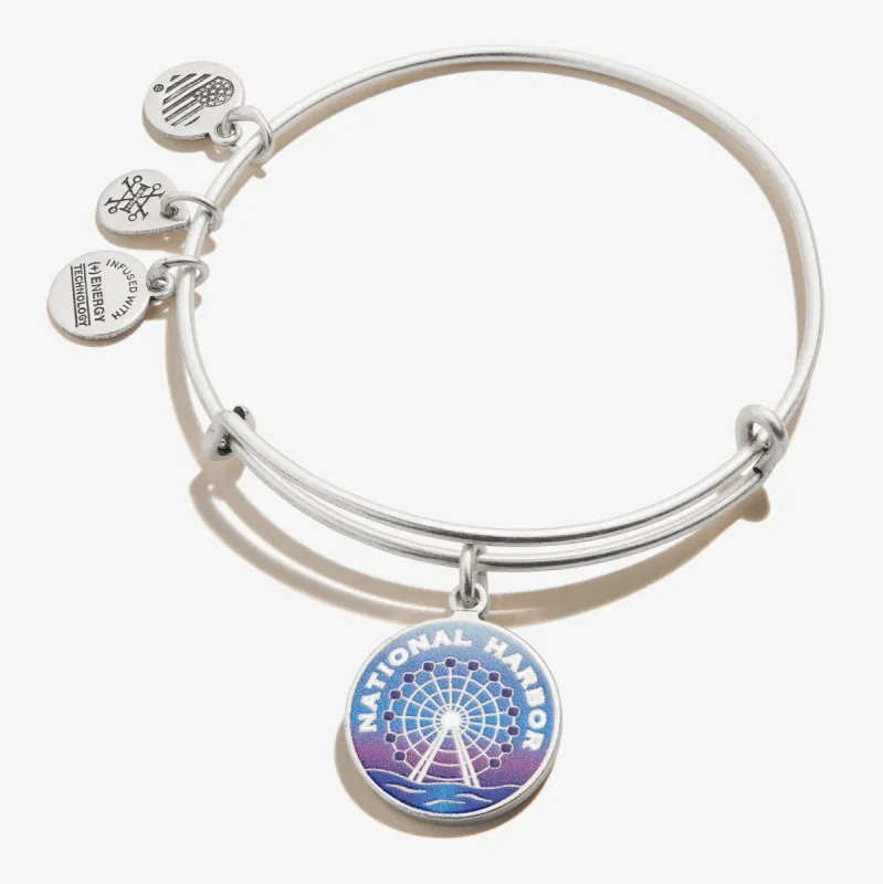 National Harbor Charm Bangle sold by Alex and Ani