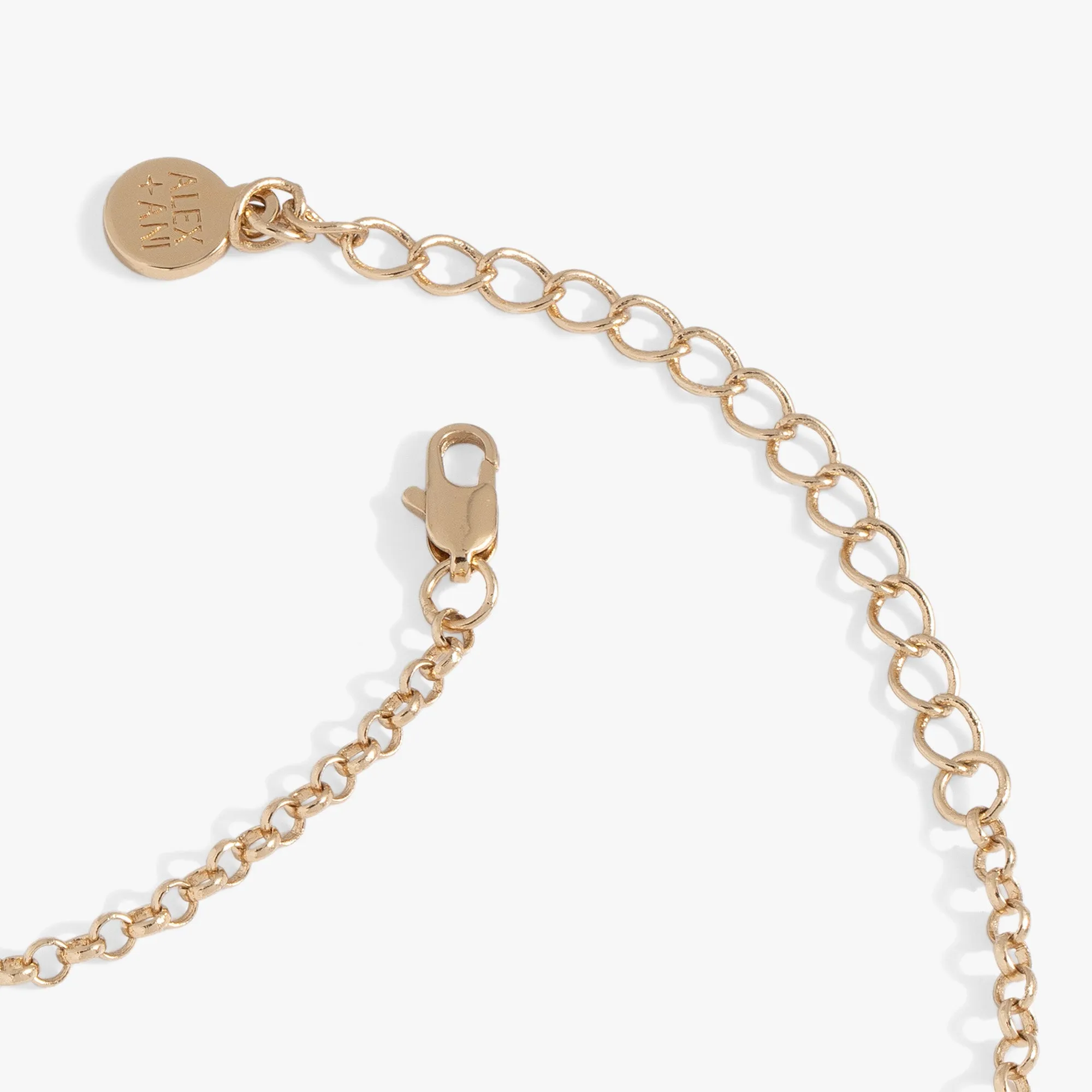 Seaside Shaker Adjustable Necklace sold by Alex and Ani product image thumbnail 3