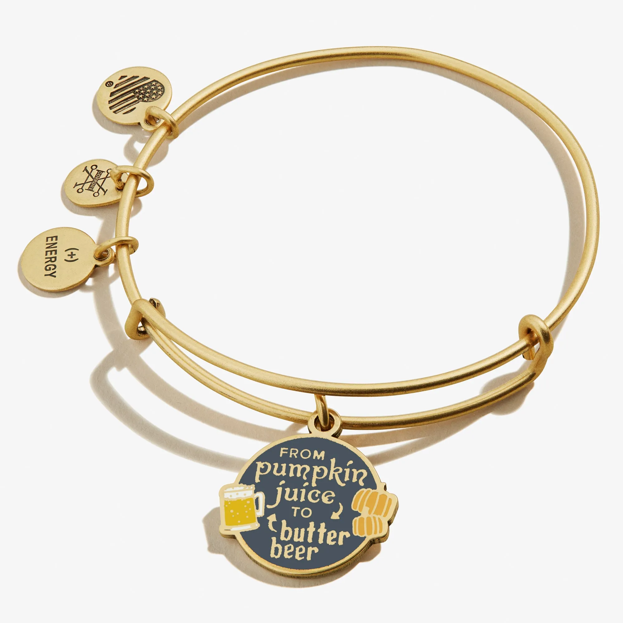 Harry Potter™ 'From Pumpkin Juice To Butter Beer' Charm Bangle sold by Alex and Ani