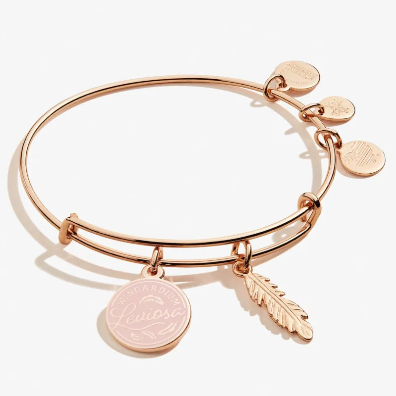 Harry Potter™ 'Leviosa' + Feather Duo Charm Bangle sold by Alex and Ani