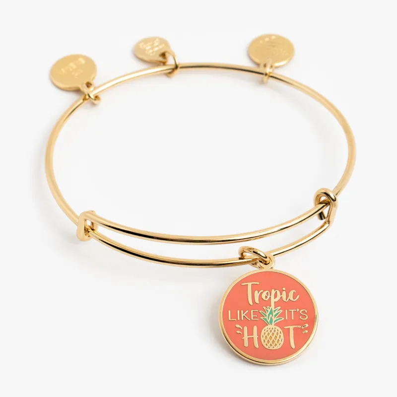 'Tropic Like It's Hot' Charm Bangle sold by Alex and Ani